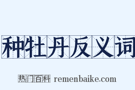 种牡丹反义词是什么意思的图片